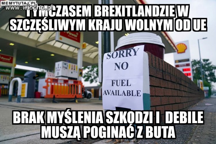 Mem z dedykacją dla pisowskich debili