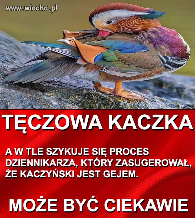 Może być zabawnie ...