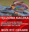 Może być zabawnie ...