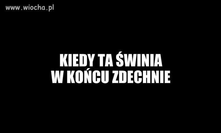 Kiedy ta świnia
