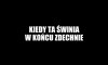 Kiedy ta świnia