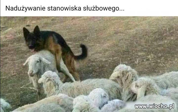 To już podpada pod mobbing.