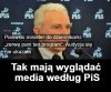 Zamordyzm 