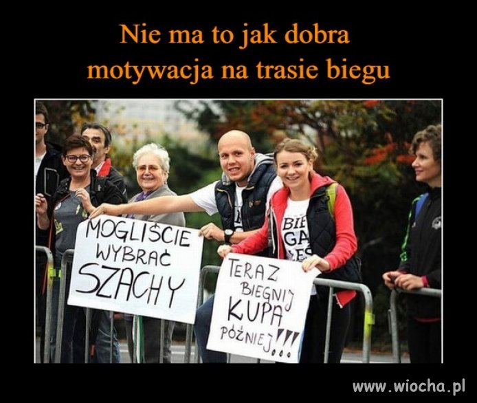 Kibice