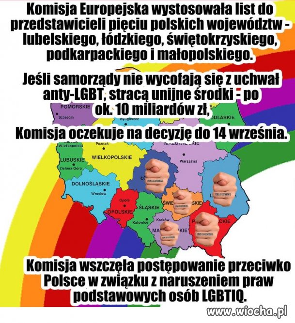 Pis chciałby rzadzić unią.