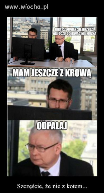 Prezes dogląda produkcji propagandy...