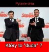 Krótka odpowiedź 