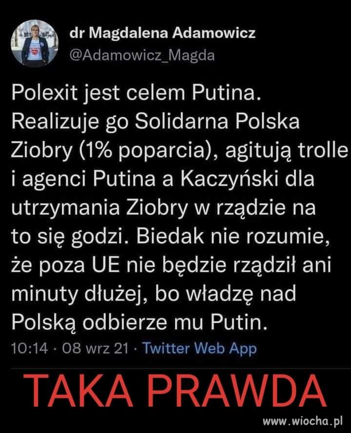 Coś w tym jest