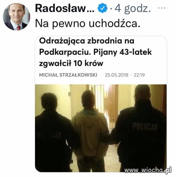 Kamiński, Błaszczak. Cudze chwalicie swego ...