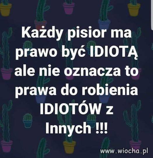 Dokładnie tak.