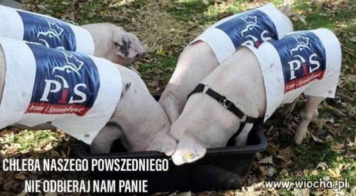 W pisie jest już tak źle że zaczęli się modlić