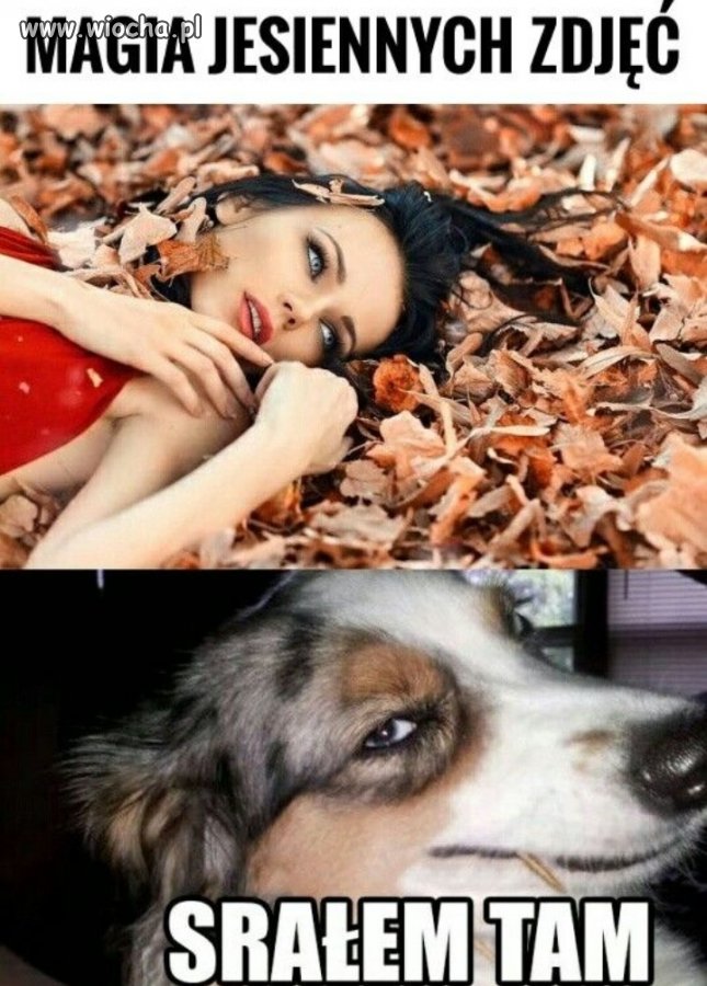 Jesiennie 