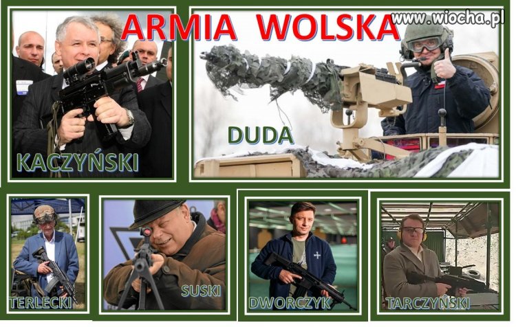 Armia Wolska