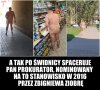 Elity Ziobrowej prokuratury