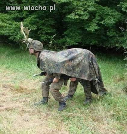 Tymczasem