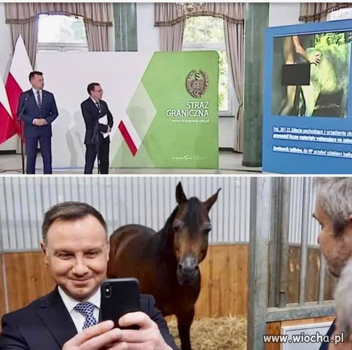Już wiesz dlaczego