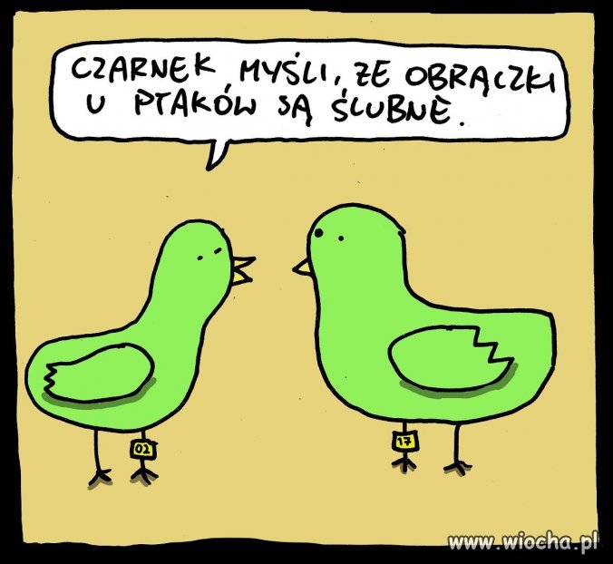 Tytuł niepotrzebny.