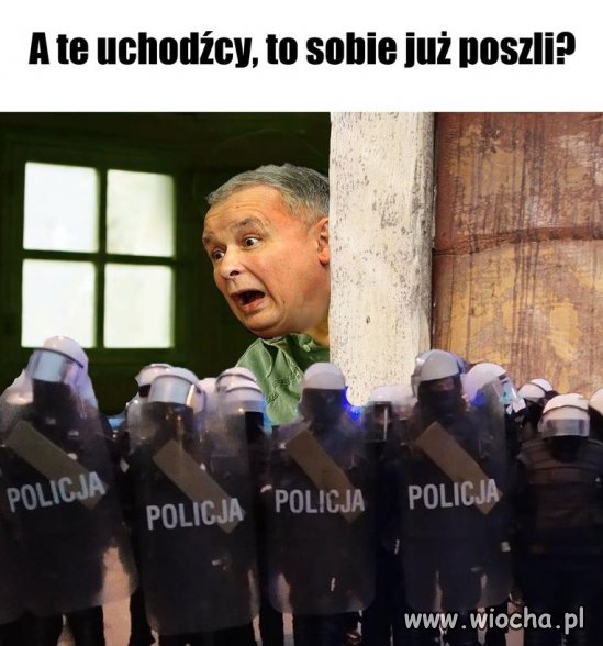 Biedaczysko 
