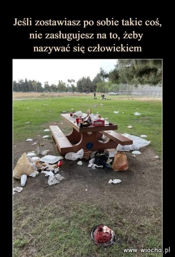Świnia nie człowiek