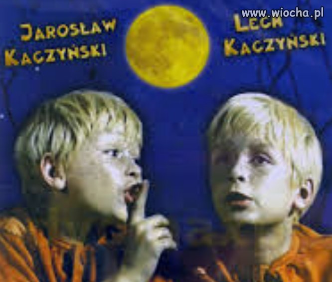 Czym skorupka...