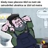 Szaszka da radę,