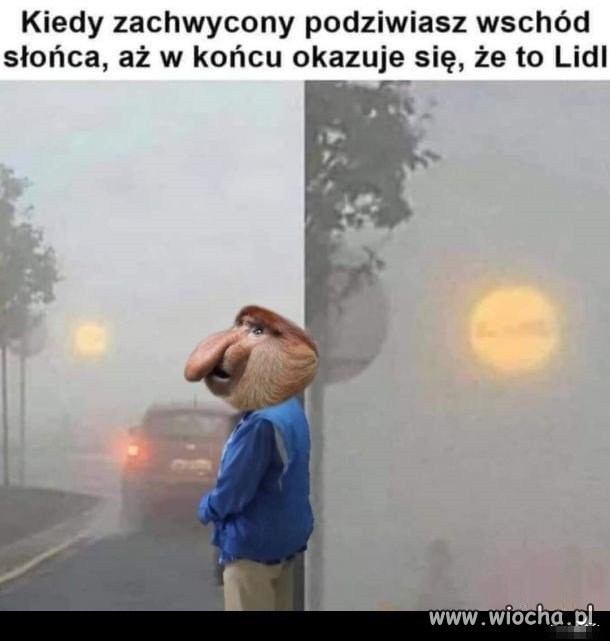 Już wiesz dlaczego