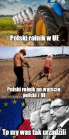 Polexit 
