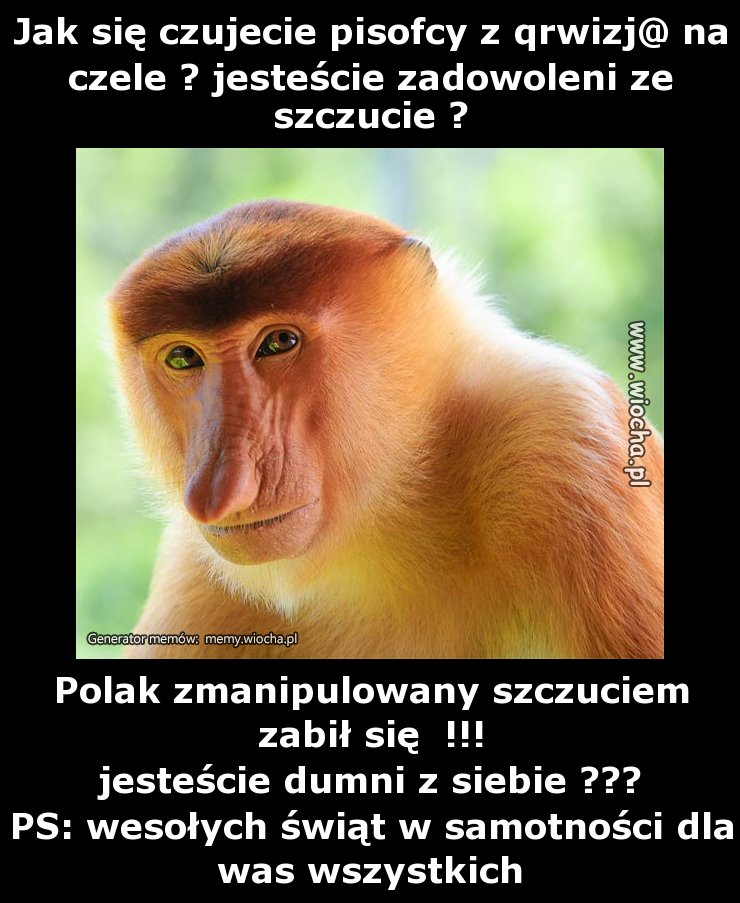 Jak się czujecie pisofcy z qrwizj@ na czele ?