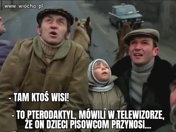 Edukacja według PiS