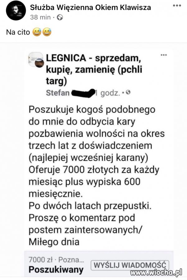 Którego pisiora obstawiacie?  Pseudonim: Stefan