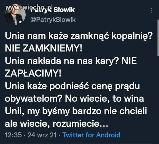 Tak właśnie działa pis