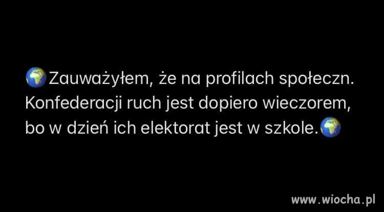 Elektorat Konfy 