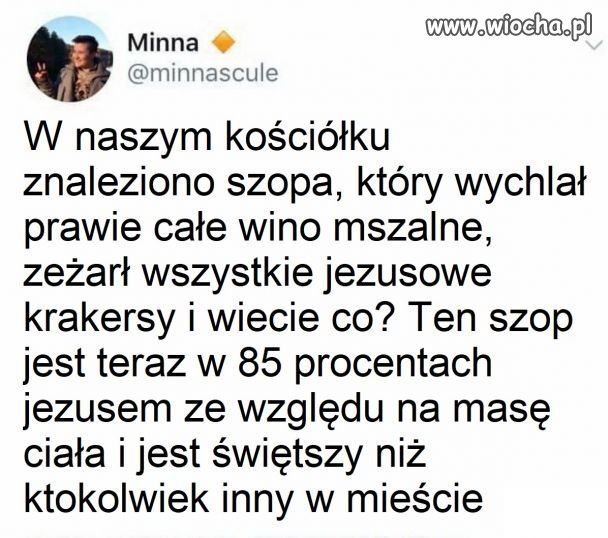 Święty szop