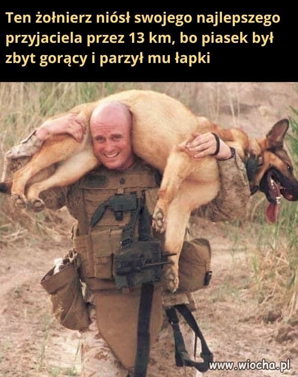 I to jest przyjaźń w dwie strony