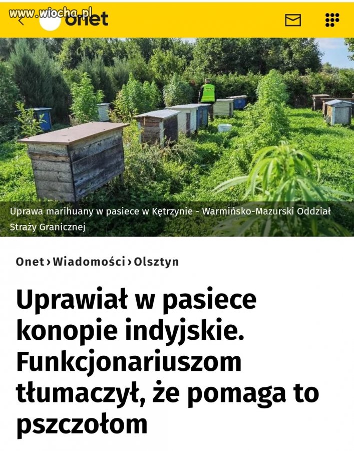 Pomocny gospodarz