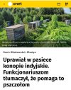 Pomocny gospodarz