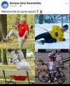Pelnomocnik