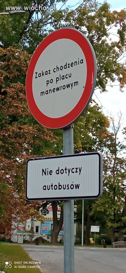 Zakaz chodzenia .oprócz autobusów