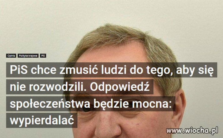 Władza zgłupiała do reszty i trzeba ją surowo osądzić.