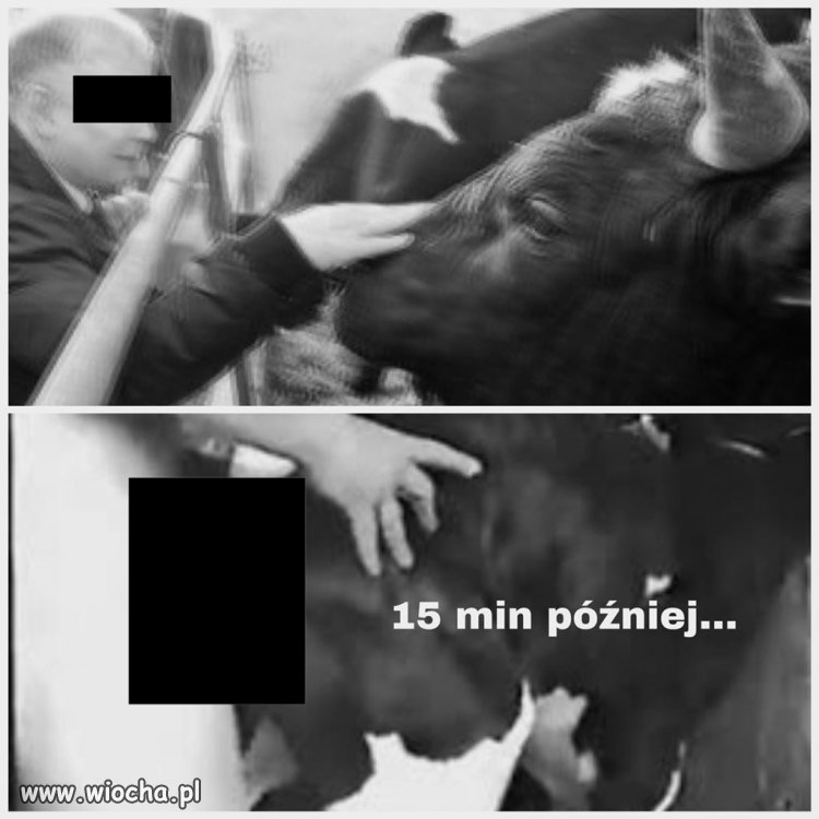 Znalezione w telefonie…