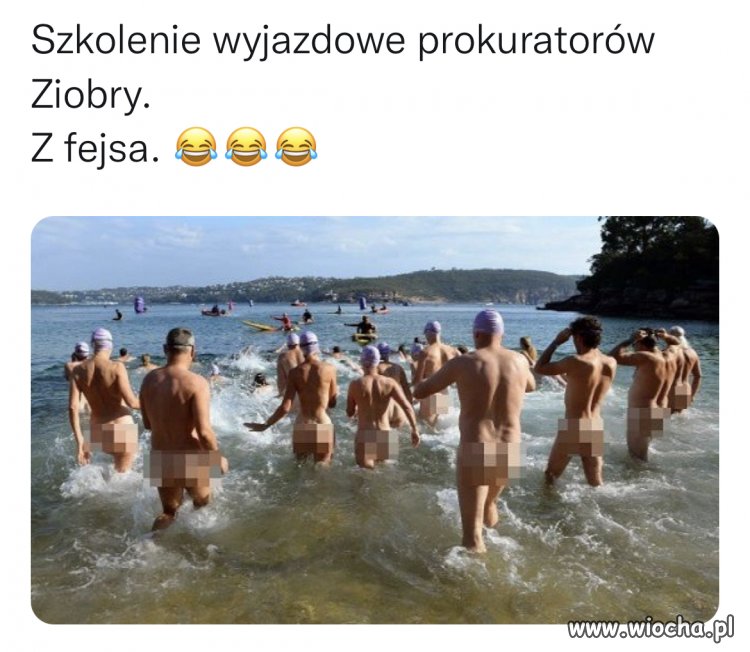 Grunt to wyszkolona kadra