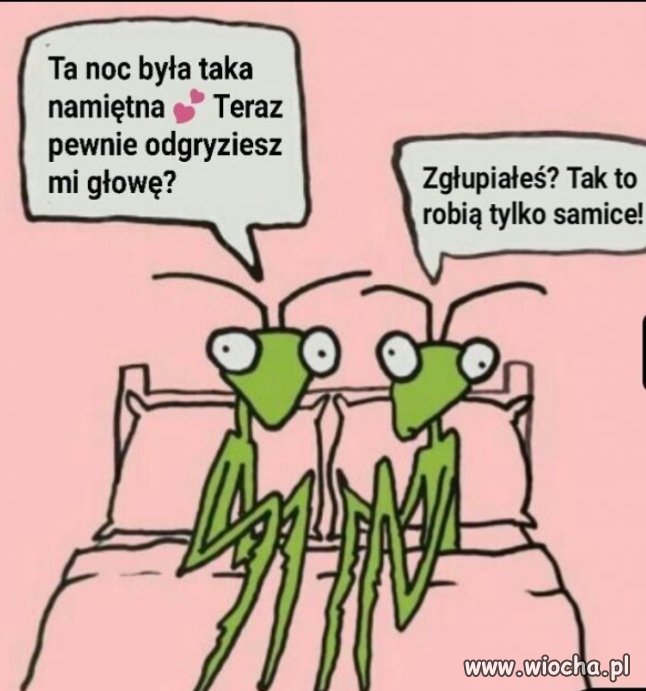 Heheszki
