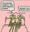 Heheszki