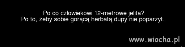 Zagadka