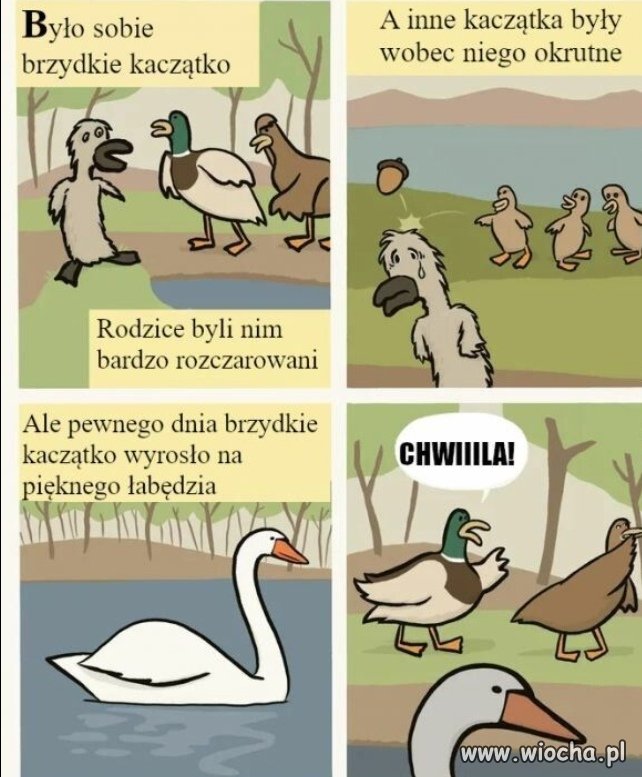 Heheszki 