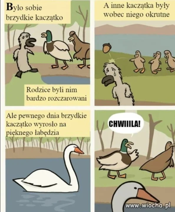 Heheszki 