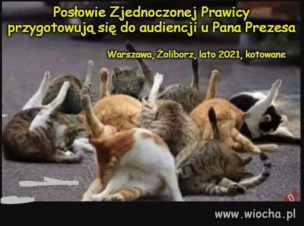 Tymczasem