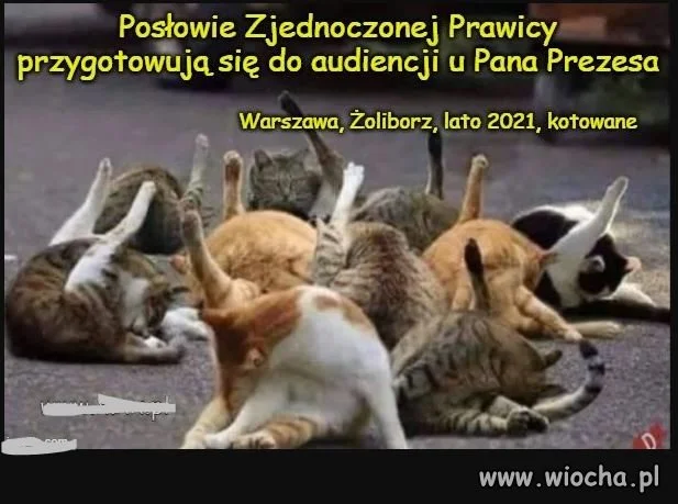 Tymczasem