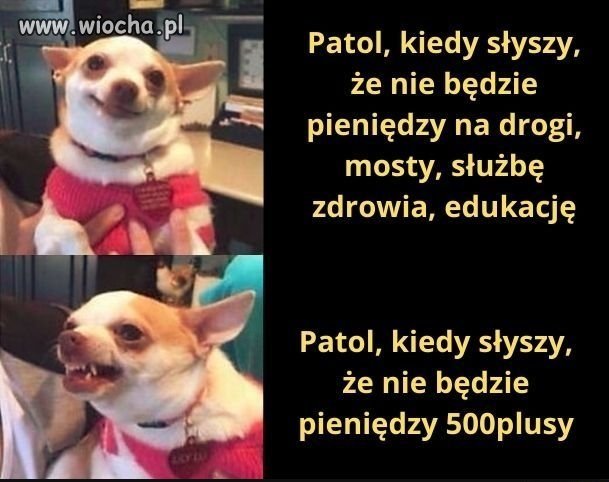 Patol