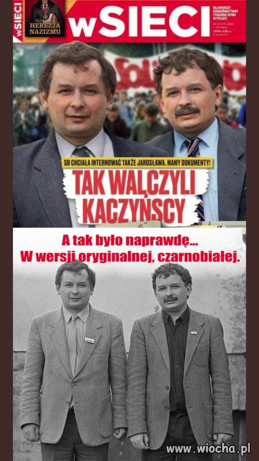 Prawda i fałsz.